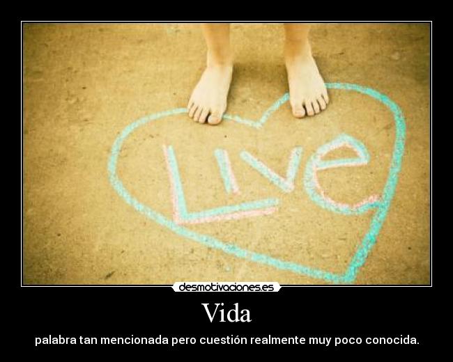 Vida - 