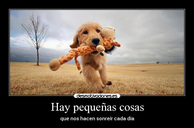 Hay pequeñas cosas - que nos hacen sonreír cada día