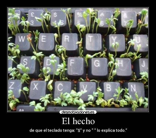 El hecho - de que el teclado tenga: $ y no ♥ lo explica todo.”