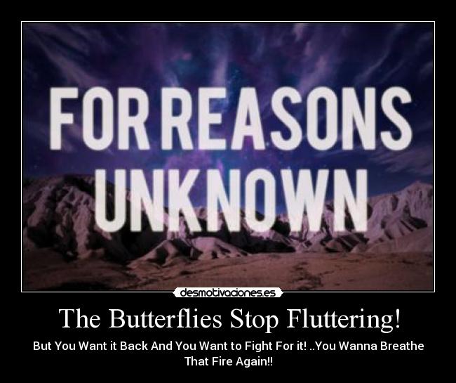 carteles the killers desmotivaciones