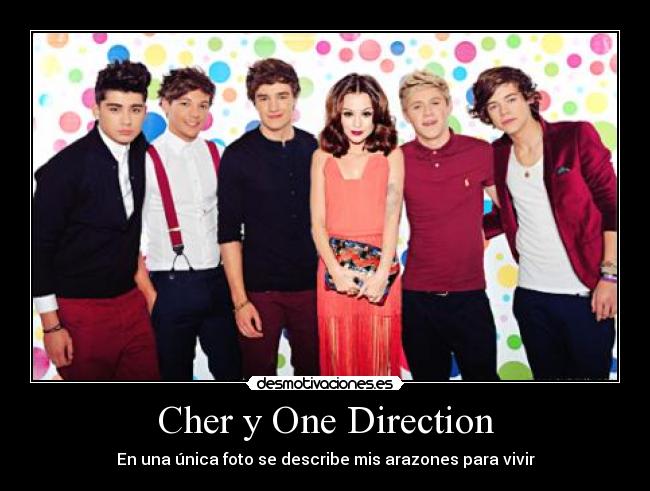 carteles cher one direction desmotivaciones