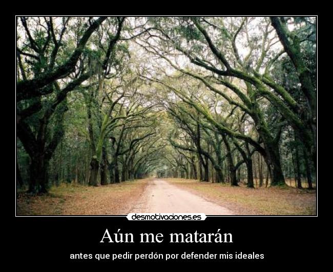 Aún me matarán - antes que pedir perdón por defender mis ideales