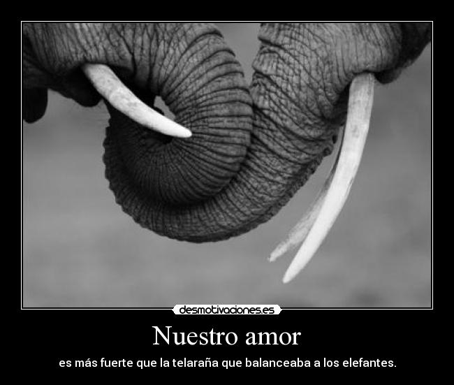 Nuestro amor -
