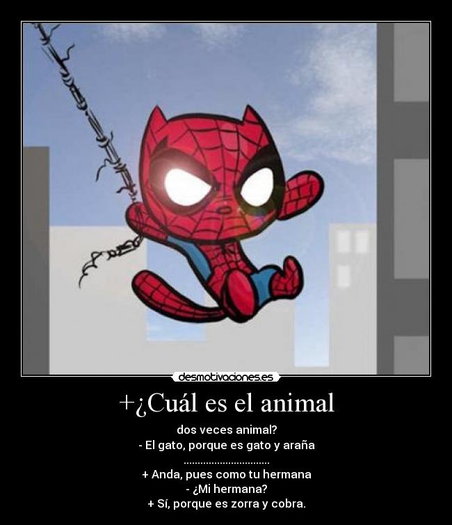 +¿Cuál es el animal - dos veces animal?
- El gato, porque es gato y araña
...............................
+ Anda, pues como tu hermana
- ¿Mi hermana?
+ Sí, porque es zorra y cobra.