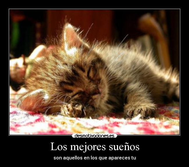 Los mejores sueños - son aquellos en los que apareces tu