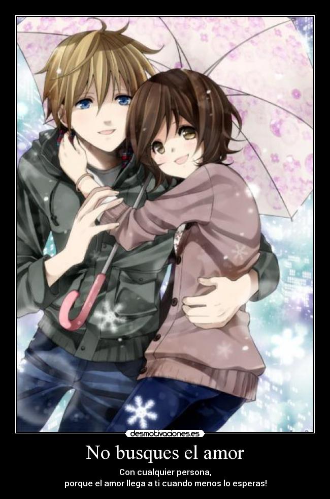 No busques el amor -