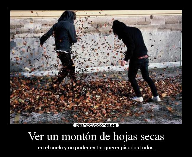 Ver un montón de hojas secas - 