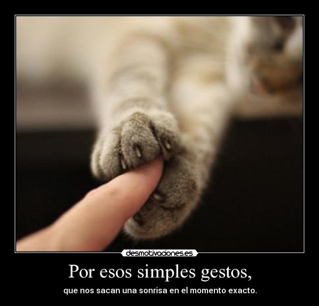 carteles moemento exacto los exactos flyingbird gatossonrisa felicidad desmotivaciones