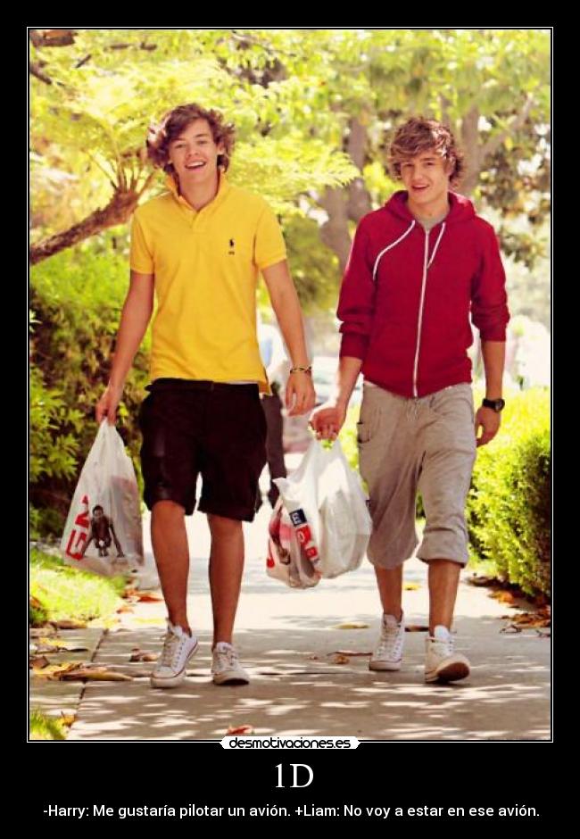 1D - -Harry: Me gustaría pilotar un avión. +Liam: No voy a estar en ese avión.