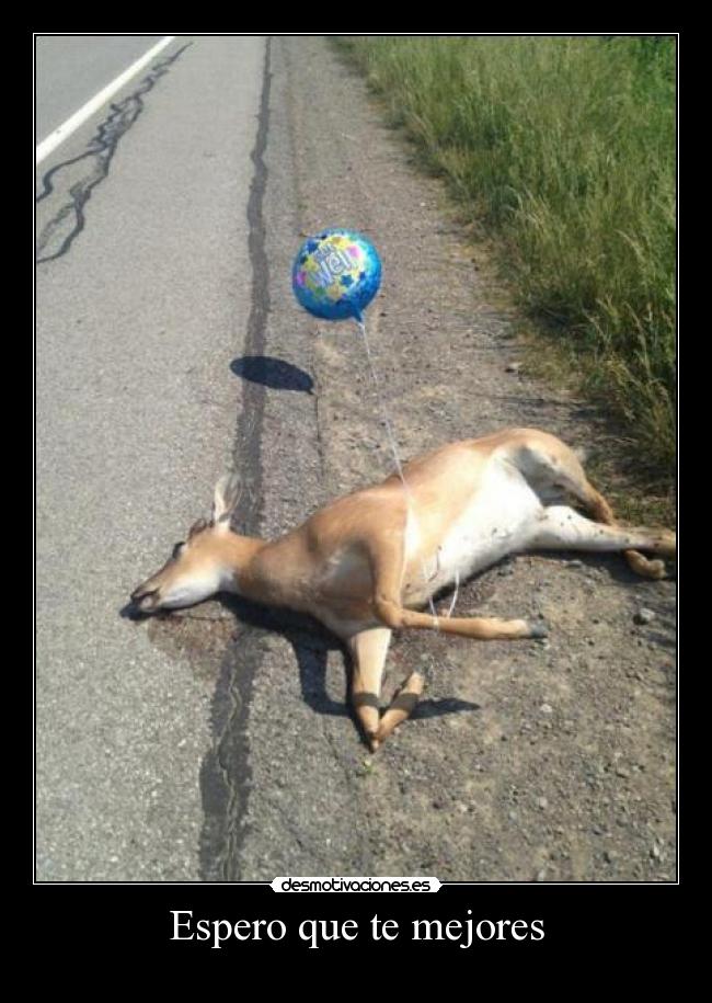 Espero que te mejores -
