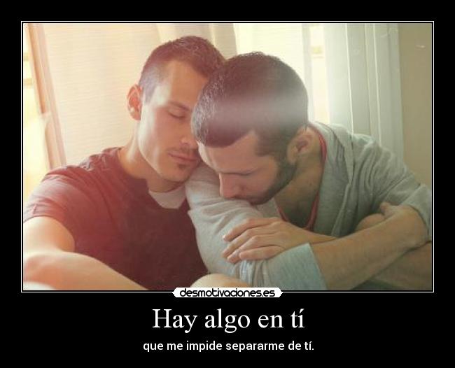 carteles amor gay igualdad romance desmotivaciones