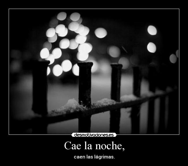 Cae la noche, - caen las lágrimas.