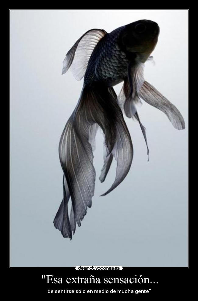 Esa extraña sensación... - de sentirse solo en medio de mucha gente