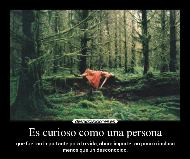 Es curioso como una persona - que fue tan importante para tu vida, ahora importe tan poco o incluso
menos que un desconocido.