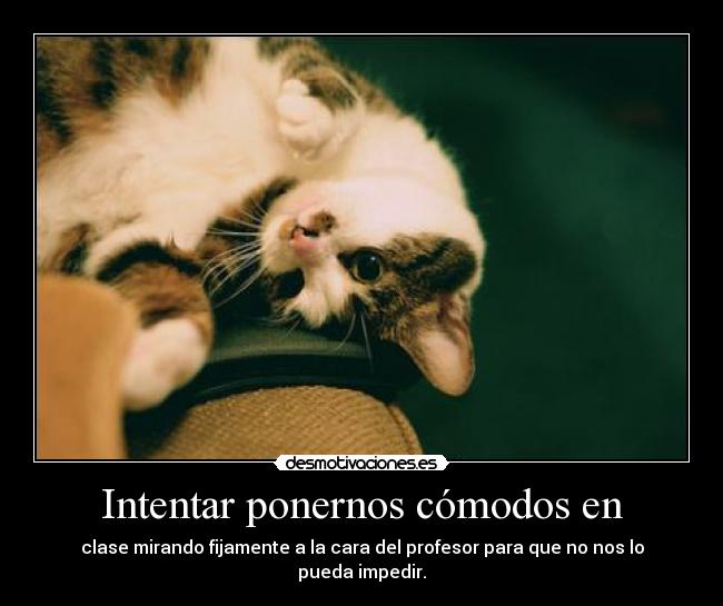 carteles stay the night desmotivaciones