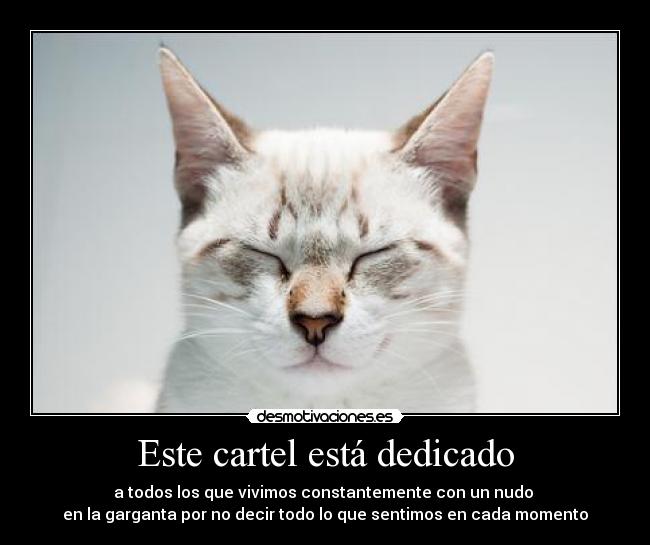 Este cartel está dedicado - 