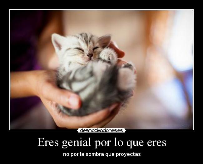 Eres genial por lo que eres - no por la sombra que proyectas