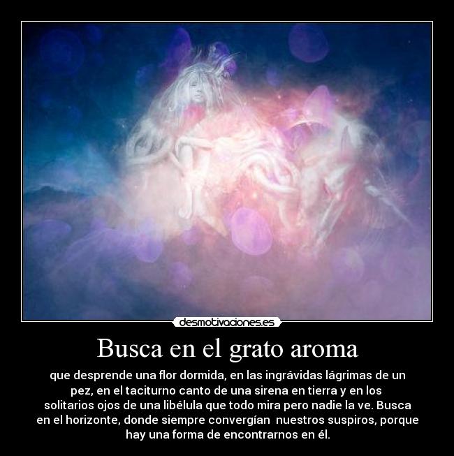 Busca en el grato aroma - que desprende una flor dormida, en las ingrávidas lágrimas de un
pez, en el taciturno canto de una sirena en tierra y en los
solitarios ojos de una libélula que todo mira pero nadie la ve. Busca
en el horizonte, donde siempre convergían nuestros suspiros, porque
hay una forma de encontrarnos en él.