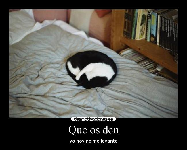 carteles cat desmotivaciones