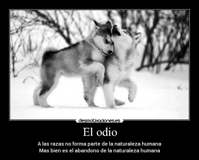 El odio - A las razas no forma parte de la naturaleza humana
Mas bien es el abandono de la naturaleza humana