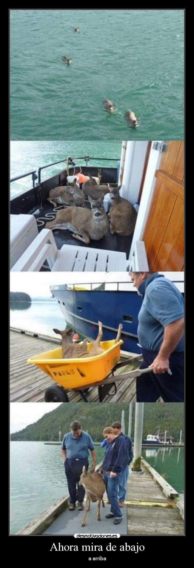 Ahora mira de abajo - a arriba