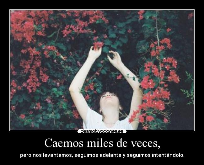 Caemos miles de veces, - pero nos levantamos, seguimos adelante y seguimos intentándolo.