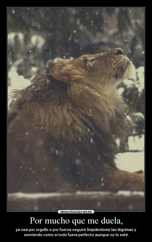 Por mucho que me duela, - ya sea por orgullo o por fuerza seguiré limpiándome las lágrimas y
sonriendo como si todo fuera perfecto aunque no lo esté.