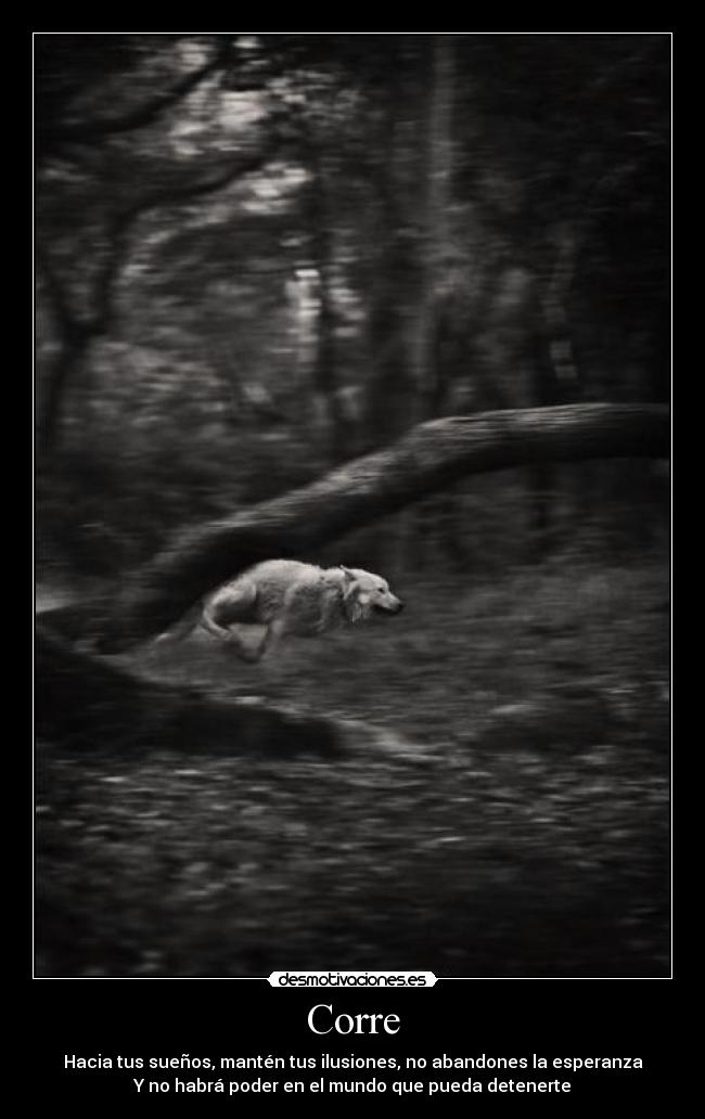 Corre - Hacia tus sueños, mantén tus ilusiones, no abandones la esperanza
Y no habrá poder en el mundo que pueda detenerte