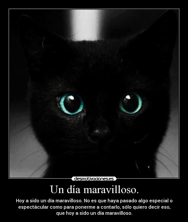 Un día maravilloso. - 