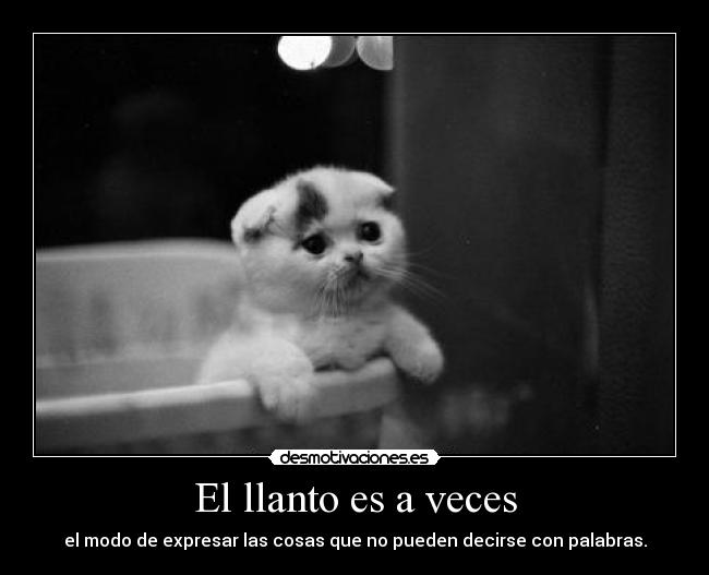 El llanto es a veces - el modo de expresar las cosas que no pueden decirse con palabras.