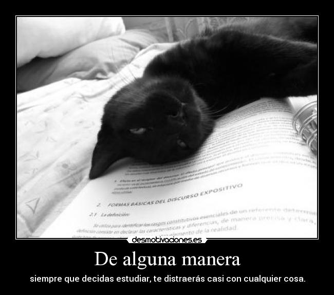 De alguna manera - siempre que decidas estudiar, te distraerás casi con cualquier cosa.