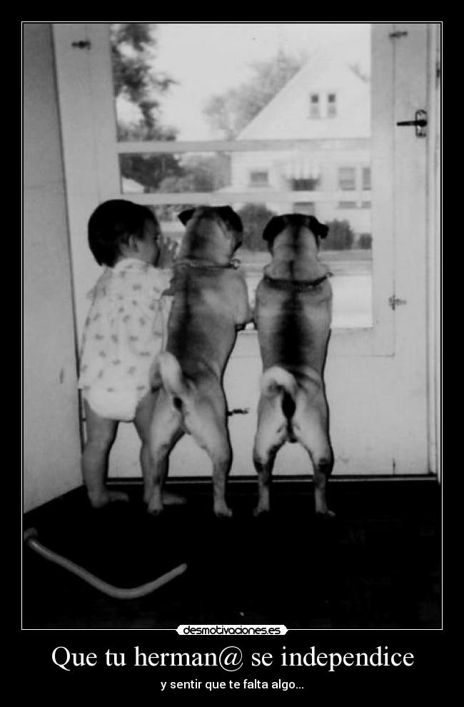Que tu herman@ se independice - y sentir que te falta algo...