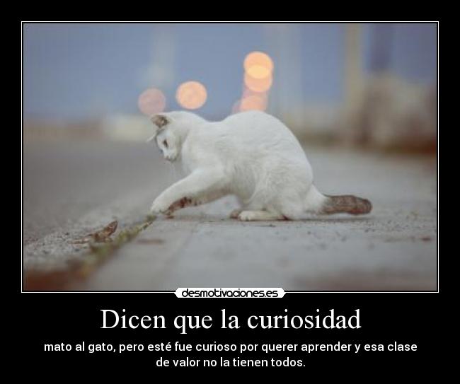 Dicen que la curiosidad - mato al gato, pero esté fue curioso por querer aprender y esa clase
de valor no la tienen todos.