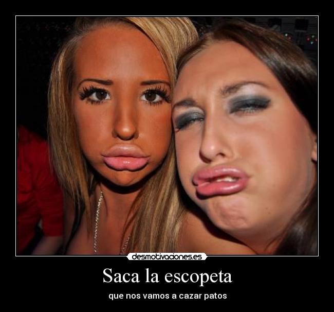 carteles ilovehardstyle escopeta patos desmotivaciones