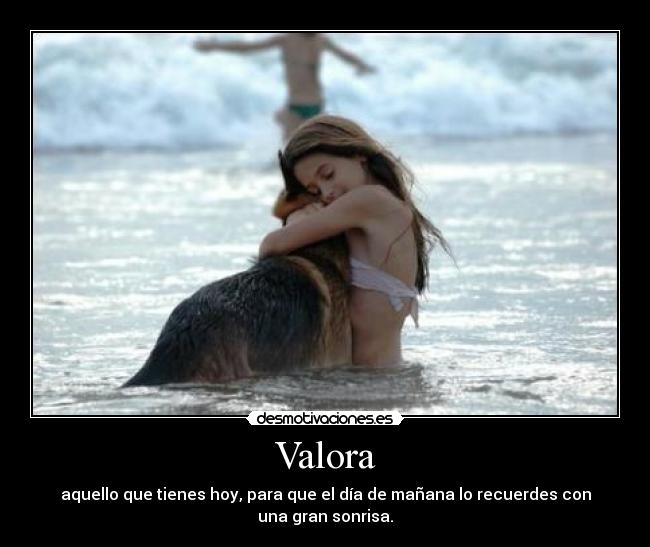 carteles valora nina hermosa con perro pastor aleman desmotivaciones