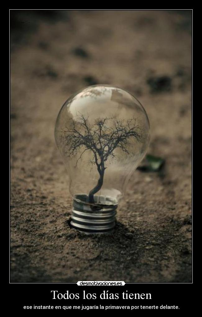 Todos los días tienen - ese instante en que me jugaría la primavera por tenerte delante.