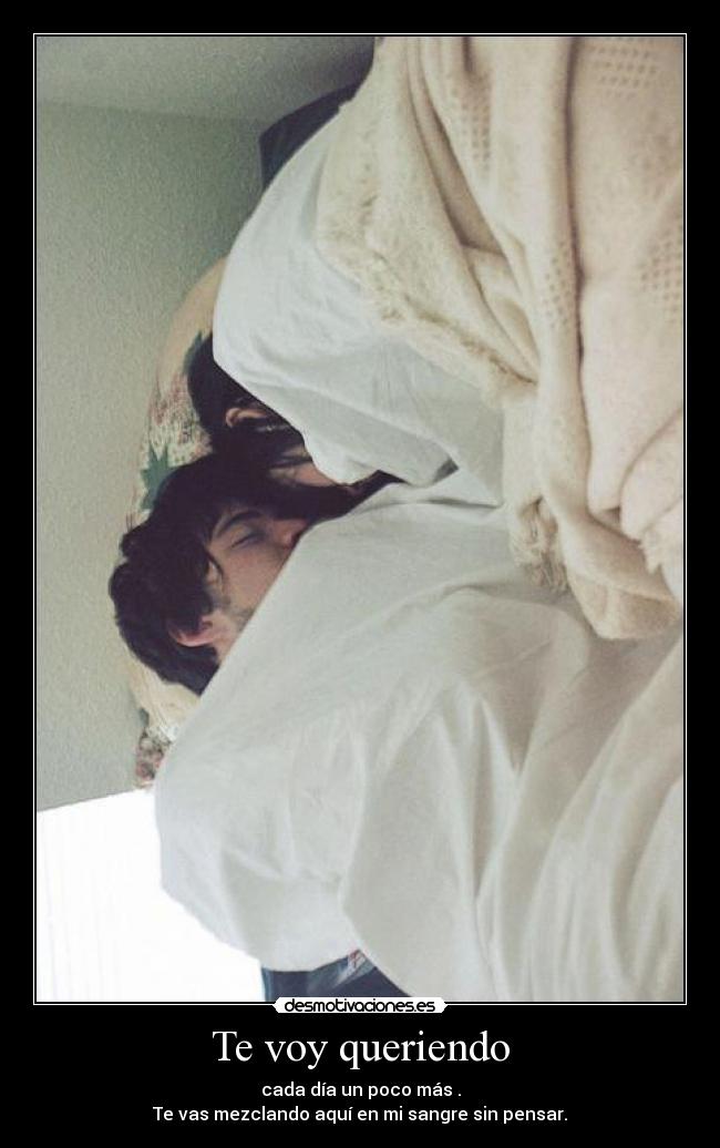 Te voy queriendo - cada día un poco más .
Te vas mezclando aquí en mi sangre sin pensar.