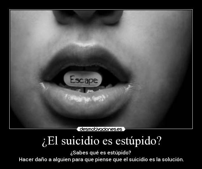 ¿El suicidio es estúpido? - ¿Sabes qué es estúpido? 
Hacer daño a alguien para que piense que el suicidio es la solución.