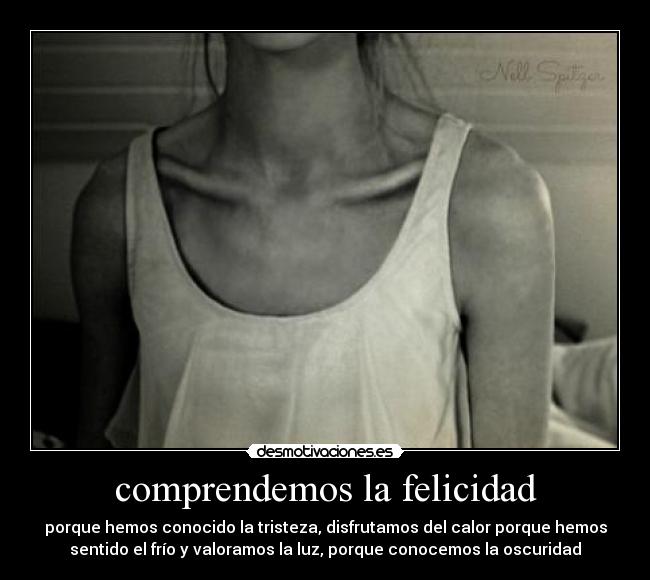 carteles felicidad vida desmotivaciones