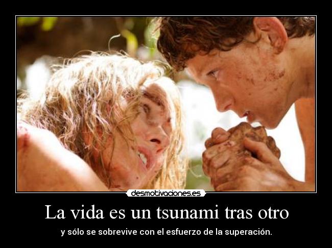 carteles vida amo mire lampard imposible desmotivaciones