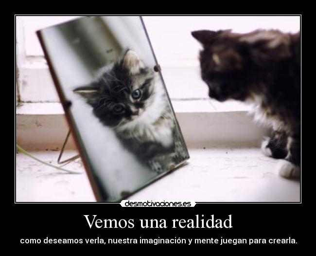 Vemos una realidad - como deseamos verla, nuestra imaginación y mente juegan para crearla.