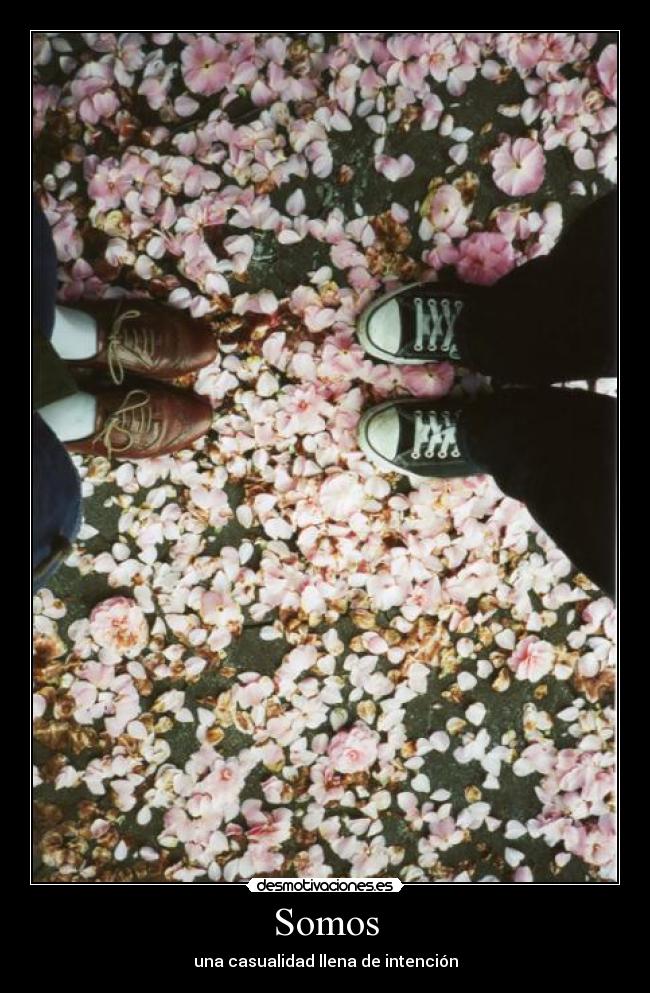 Somos -