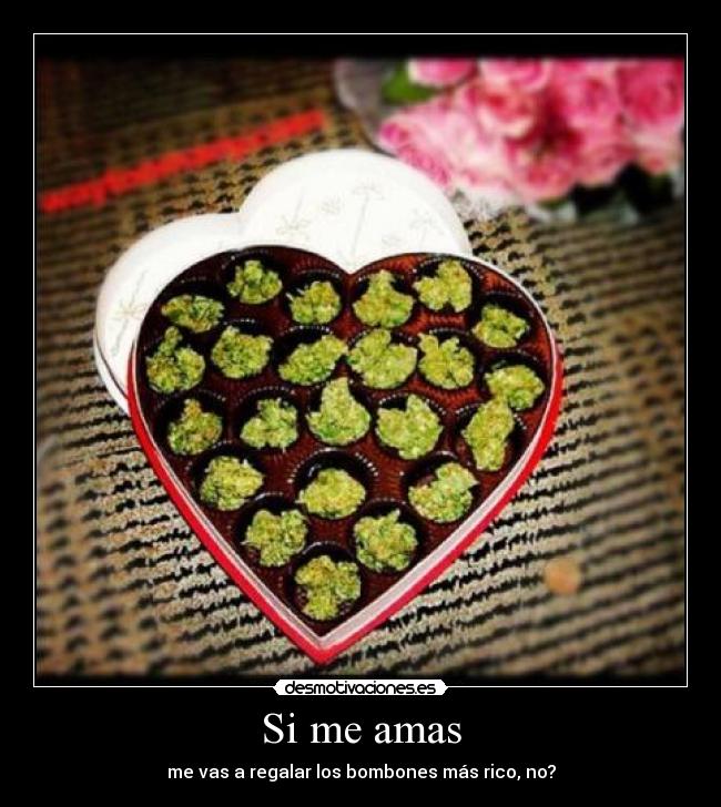 Si me amas - 