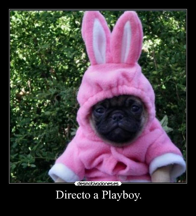 Directo a Playboy. -