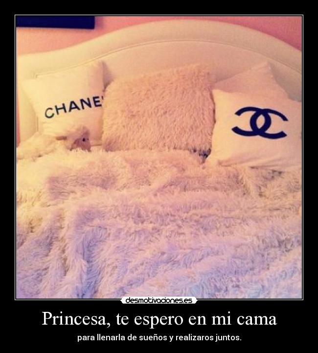 carteles princesa desmotivaciones