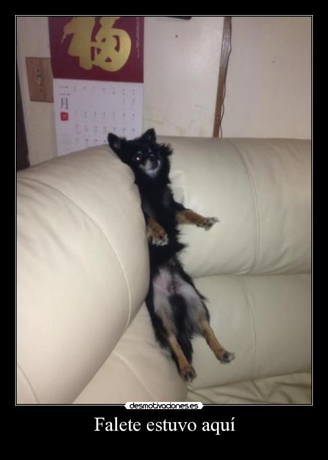 Falete estuvo aquí -