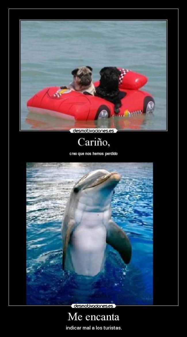 carteles sora absurdo con flipper desmotivaciones