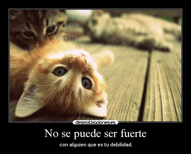 No se puede ser fuerte - con alguien que es tu debilidad.
