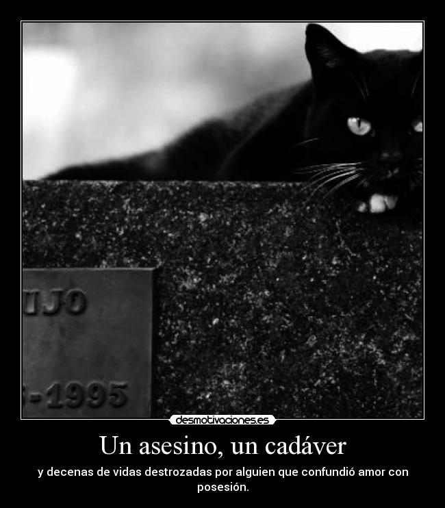 Un asesino, un cadáver - 