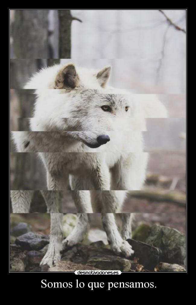 Somos lo que pensamos. - 